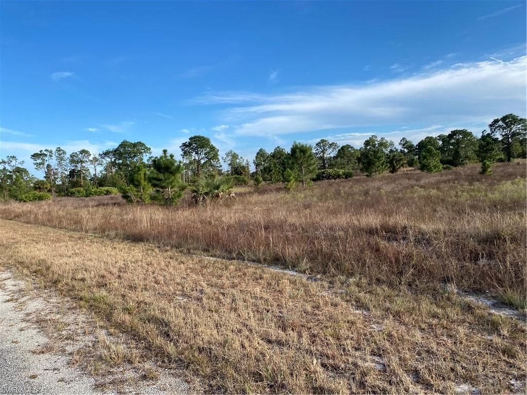 1114 Eaves ST E LEHIGH ACRES, FL 33974