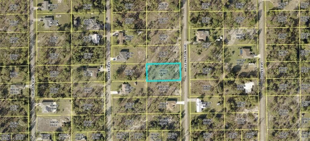 209 Wellington AVE LEHIGH ACRES, FL 33936