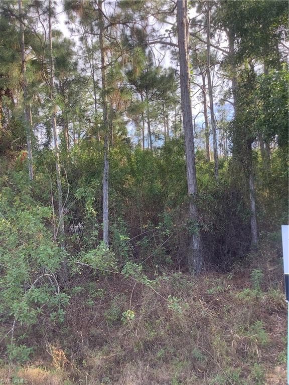 3360 18th AVE NE NAPLES, FL 34120