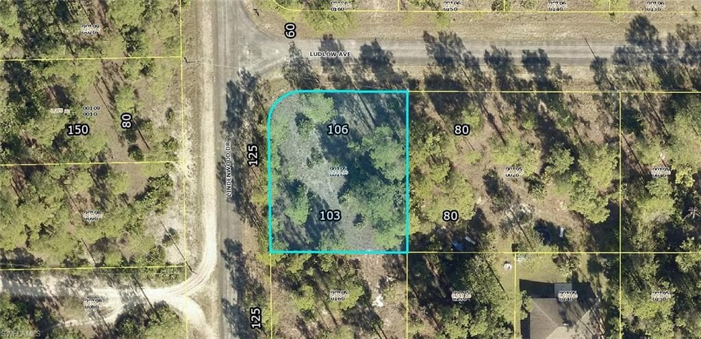 315 Ludlow AVE LEHIGH ACRES, FL 33972
