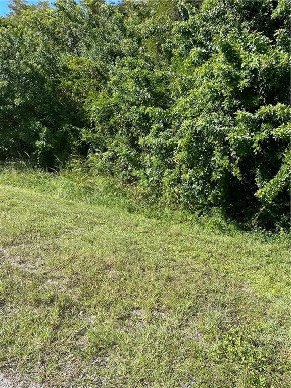 804 Gaylord AVE S LEHIGH ACRES, FL 33974