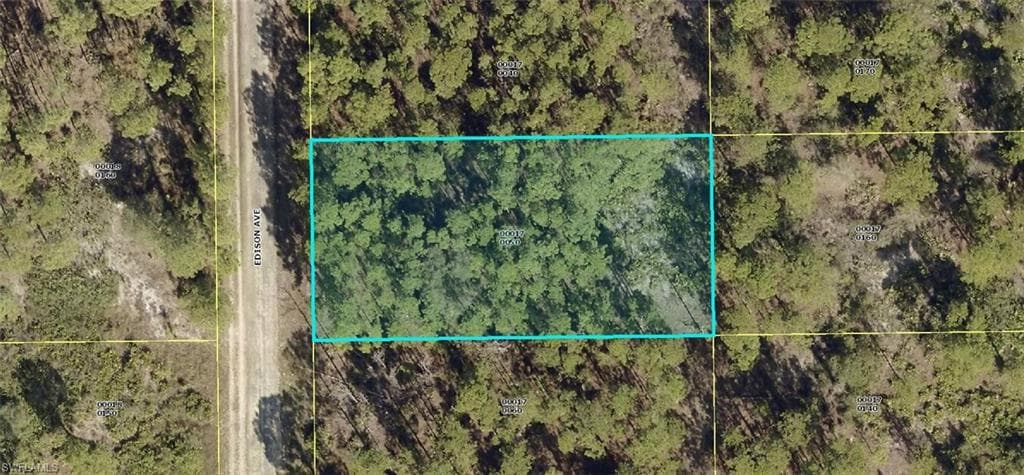 1710 Edison AVE LEHIGH ACRES, FL 33972