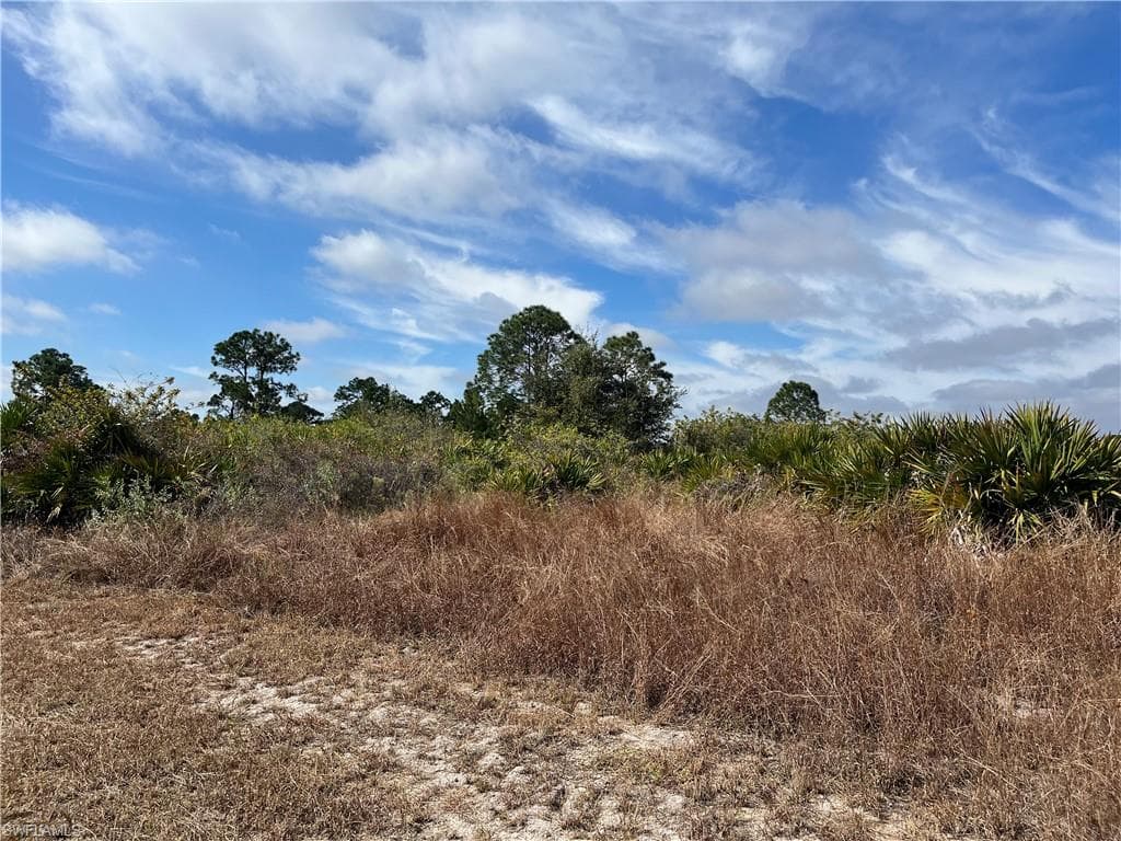 905 Gregory ST E LEHIGH ACRES, FL 33974