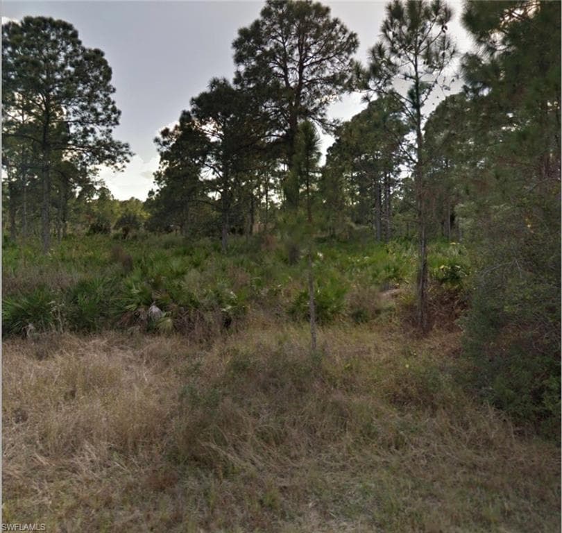3511 65th ST W LEHIGH ACRES, FL 33971
