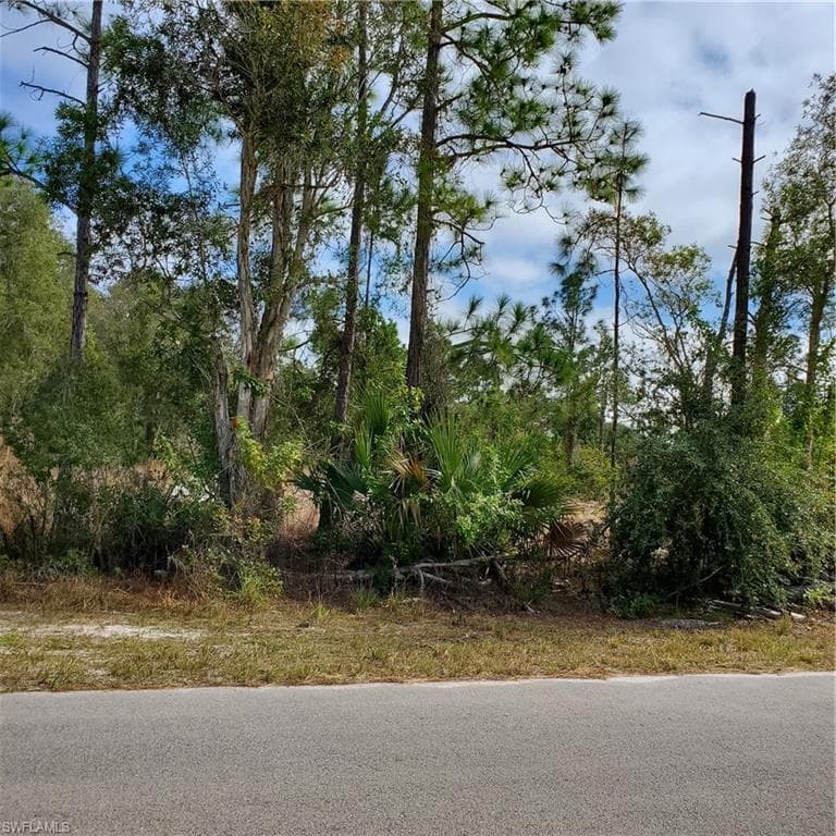 860 Avondale ST E LEHIGH ACRES, FL 33974