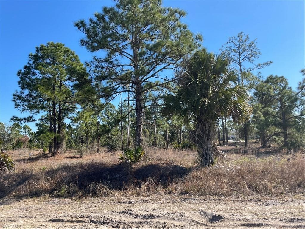1141 Haven AVE S LEHIGH ACRES, FL 33974