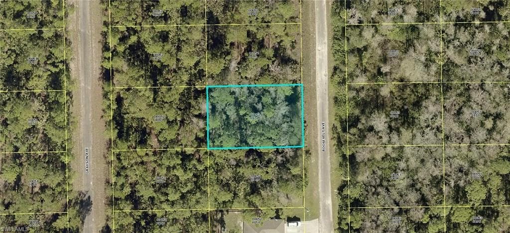 2109 Roosevelt AVE ALVA, FL 33920