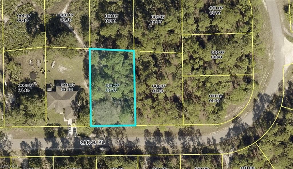 2610 Carol PL LEHIGH ACRES, FL 33971