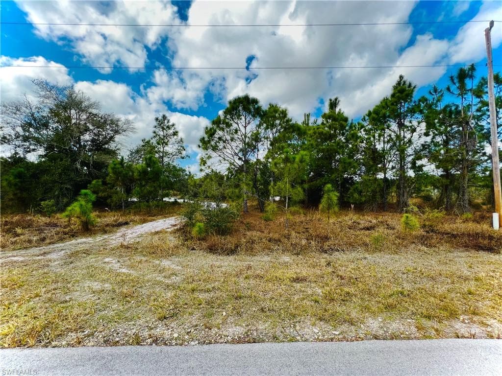 928 Aletha AVE S LEHIGH ACRES, FL 33974
