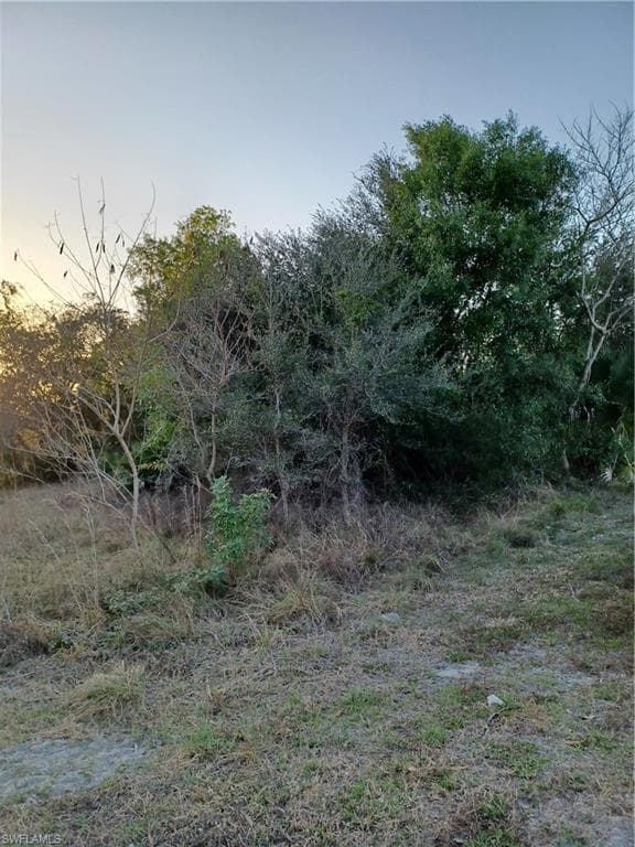 2178 Wyandotte AVE ALVA, FL 33920