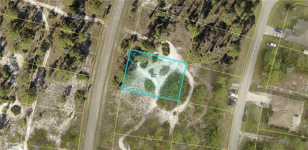 1253 Belfast AVE FORT MYERS, FL 33913