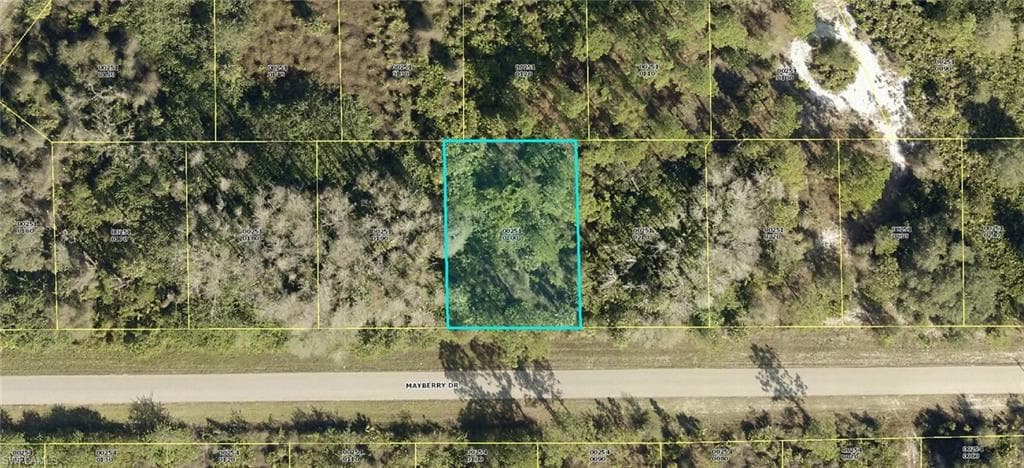 1811 Mayberry DR LEHIGH ACRES, FL 33972