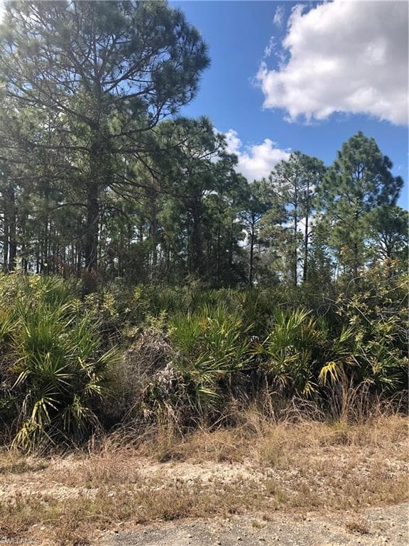 1619 Pine AVE LEHIGH ACRES, FL 33972