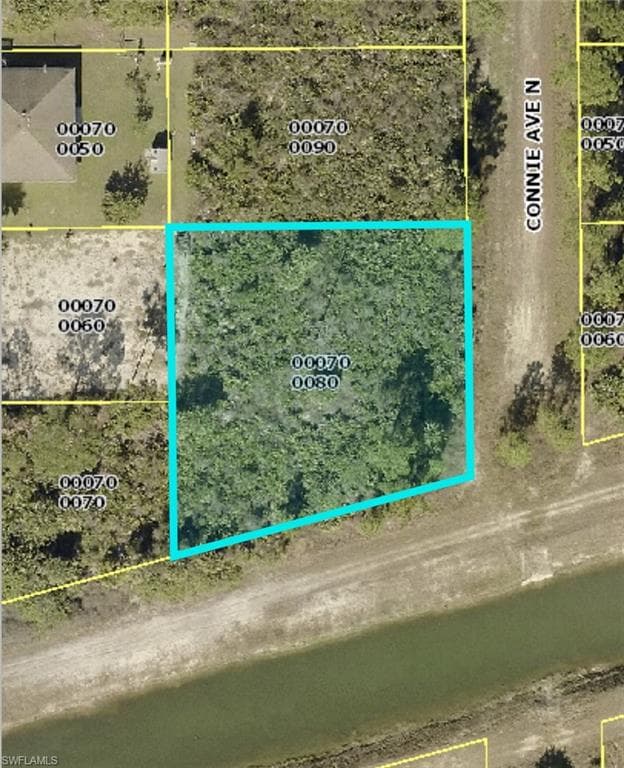 2911 Connie AVE N LEHIGH ACRES, FL 33971