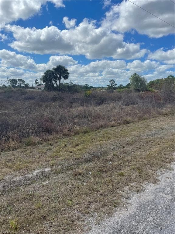748 Foxtail ST E LEHIGH ACRES, FL 33974