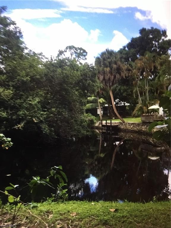 10141 Kentucky ST BONITA SPRINGS, FL 34135