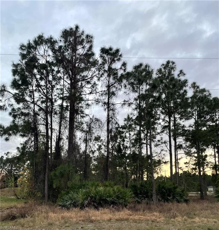 606 Ames ST E LEHIGH ACRES, FL 33974