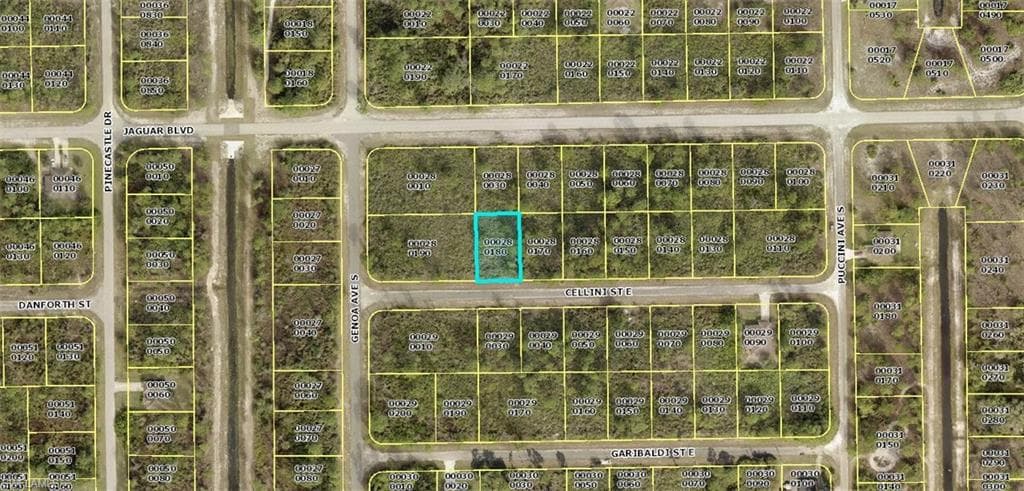 1107 Cellini ST E LEHIGH ACRES, FL 33974