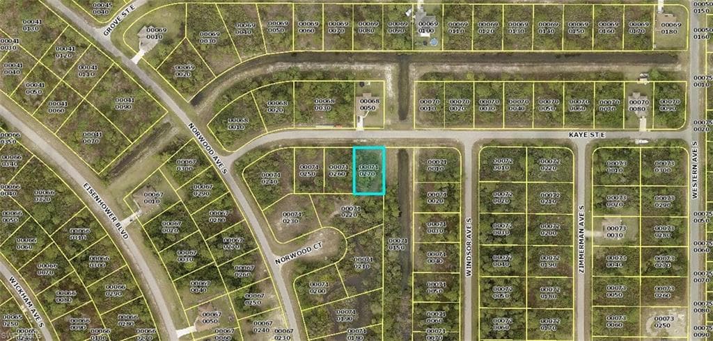 1012 Kaye ST E LEHIGH ACRES, FL 33974