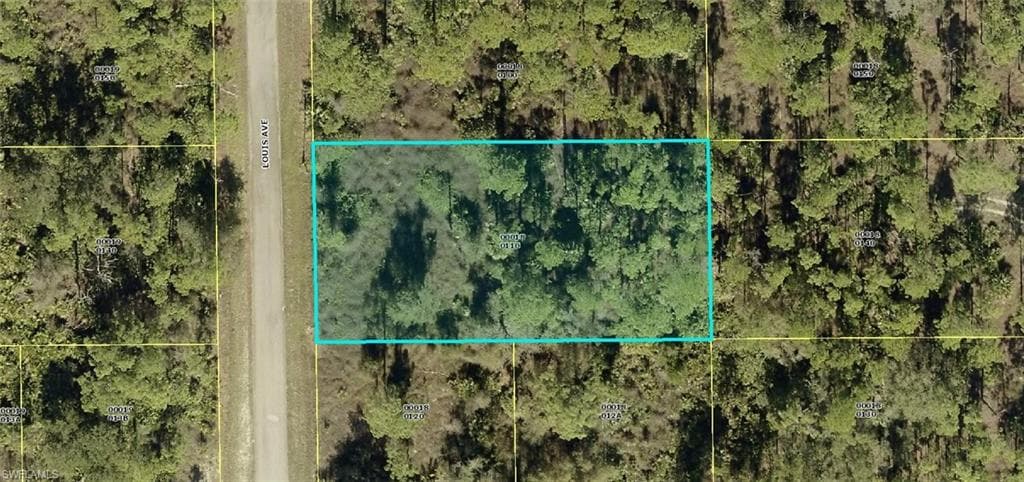 2102 Louis AVE ALVA, FL 33920