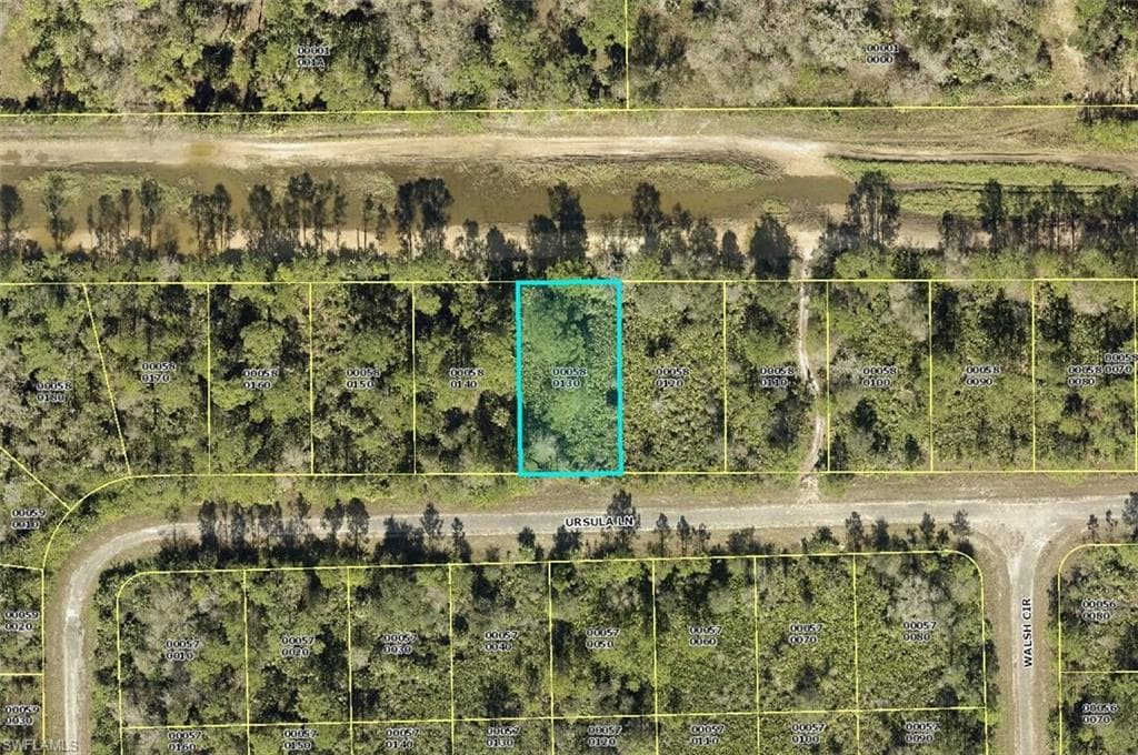388 Ursula LN LEHIGH ACRES, FL 33972