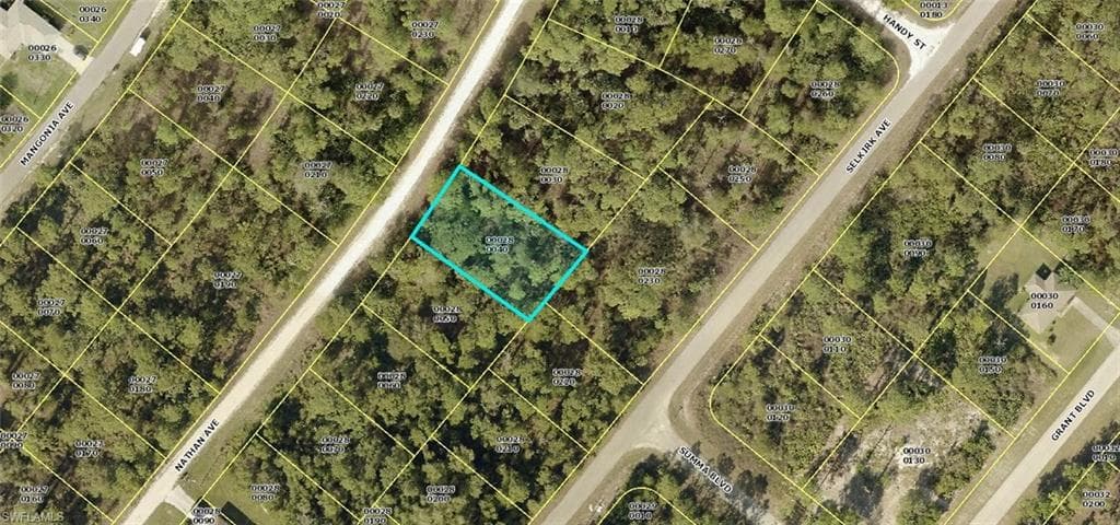 339 Nathan AVE S LEHIGH ACRES, FL 33974