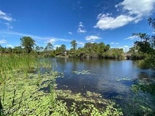Gaucho TER NORTH PORT, FL 34286