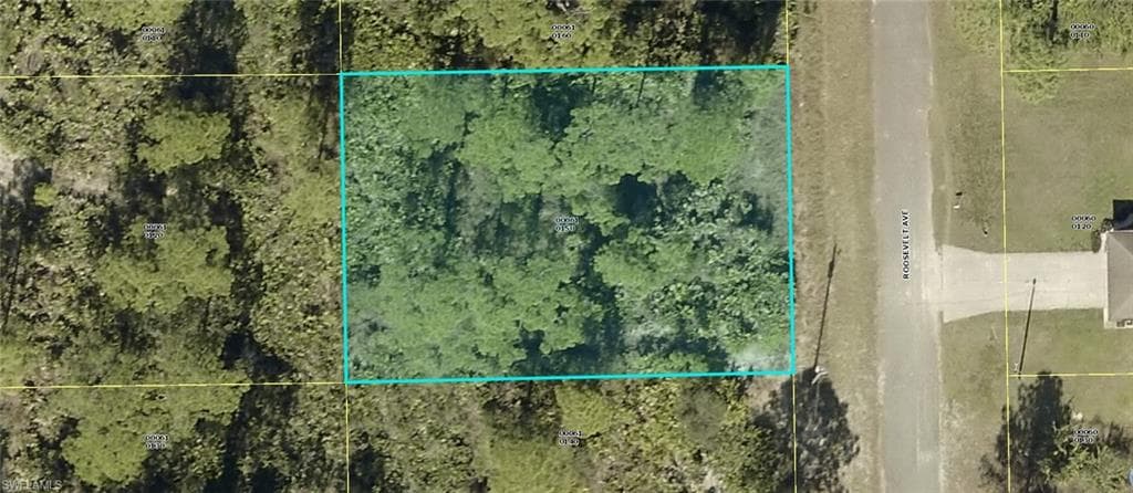 2003 Roosevelt AVE ALVA, FL 33920