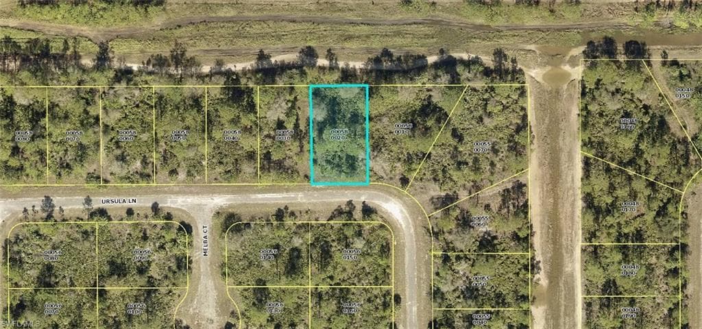 366 Ursula LN LEHIGH ACRES, FL 33972