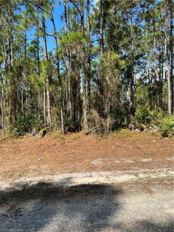 1711 Edison AVE LEHIGH ACRES, FL 33972