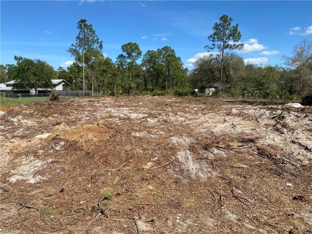 2316 Hamilton AVE ALVA, FL 33920