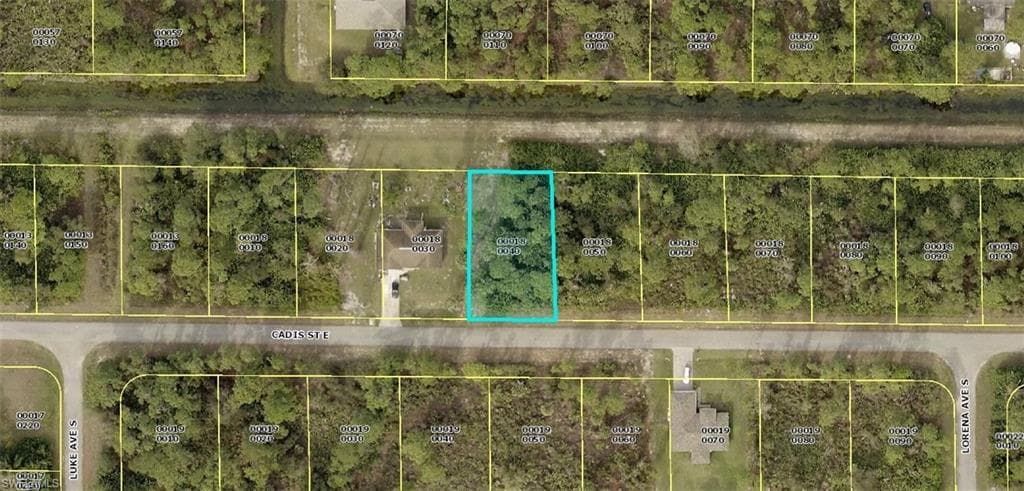 849 Cadis ST E LEHIGH ACRES, FL 33974