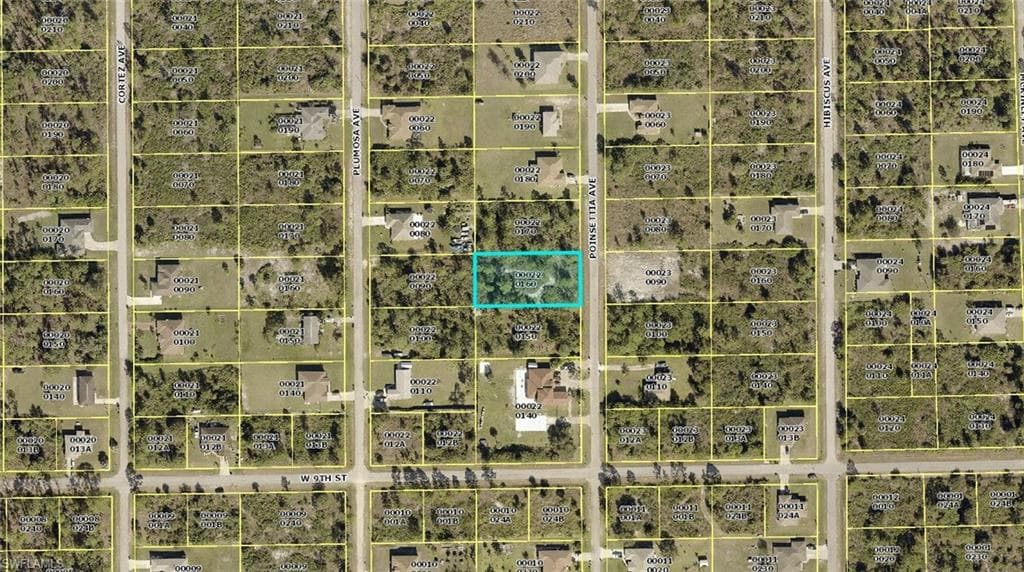 907 Poinsettia AVE LEHIGH ACRES, FL 33972
