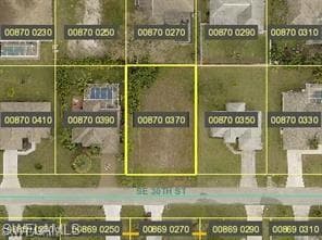 231 SE 30th ST CAPE CORAL, FL 33904