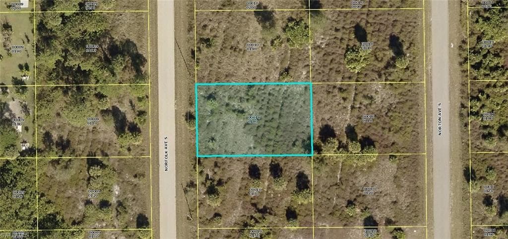 927 Norfolk AVE S LEHIGH ACRES, FL 33974