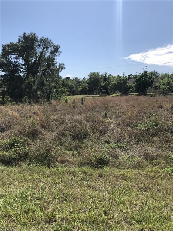 2184 Lincoln Park AVE ALVA, FL 33920
