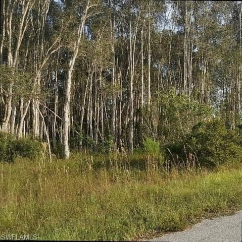 1125 Countess AVE LEHIGH ACRES, FL 33974