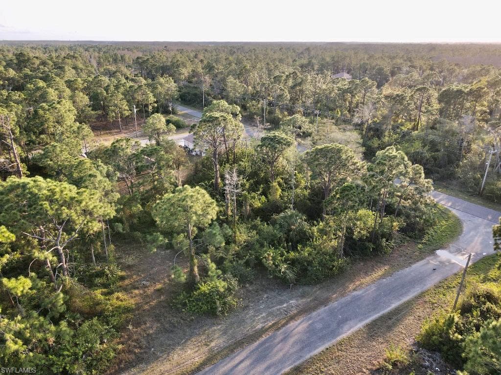 706 Newell ST E LEHIGH ACRES, FL 33974