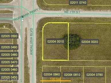 802 NE 7th ST CAPE CORAL, FL 33909