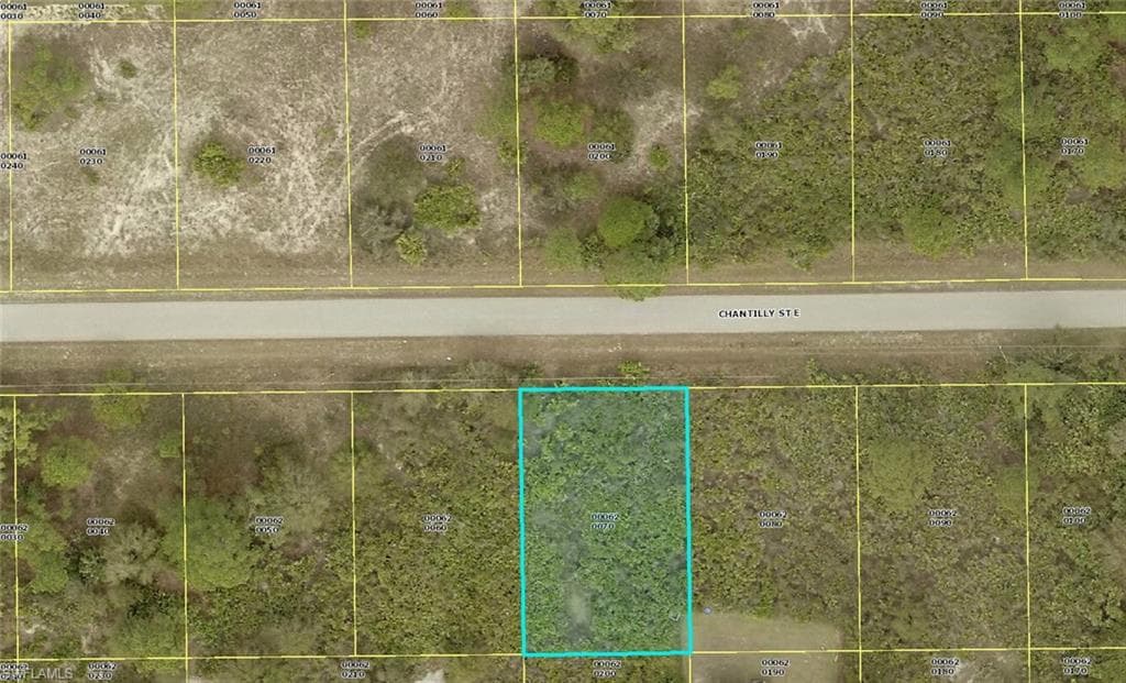 832 Chantilly ST E LEHIGH ACRES, FL 33974