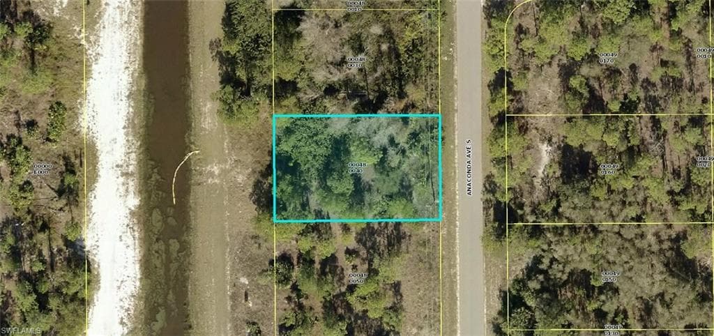 1034 Anaconda AVE S LEHIGH ACRES, FL 33974