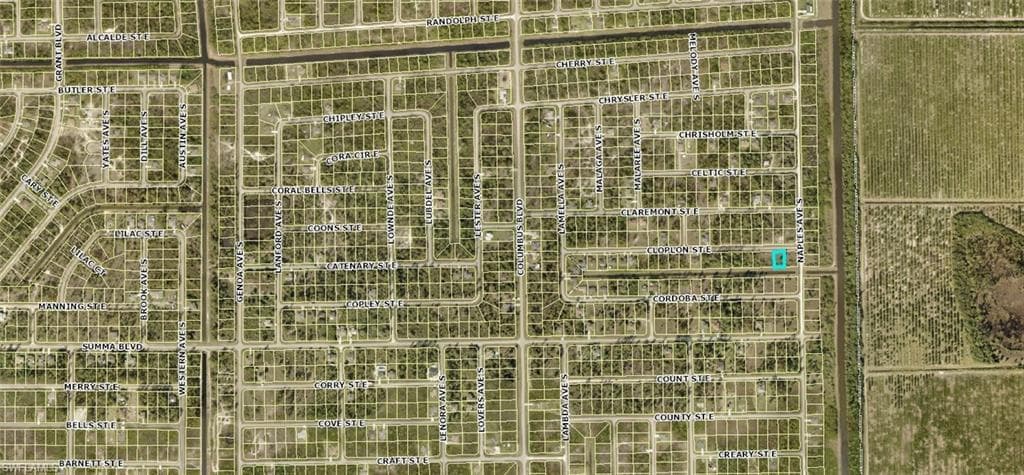 1250 Cloplon ST E LEHIGH ACRES, FL 33974