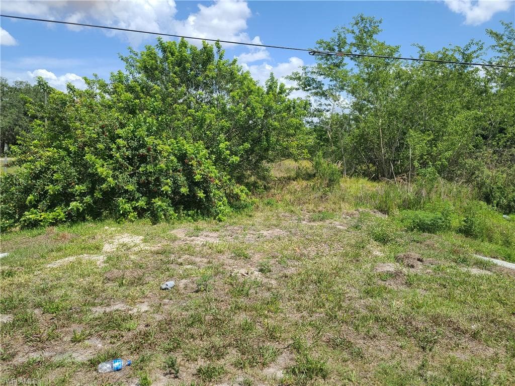 6689 S SR 29 RD LABELLE, FL 33935