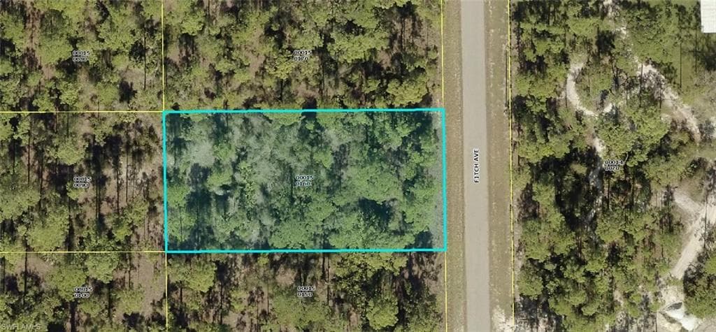 2107 Fitch AVE ALVA, FL 33920