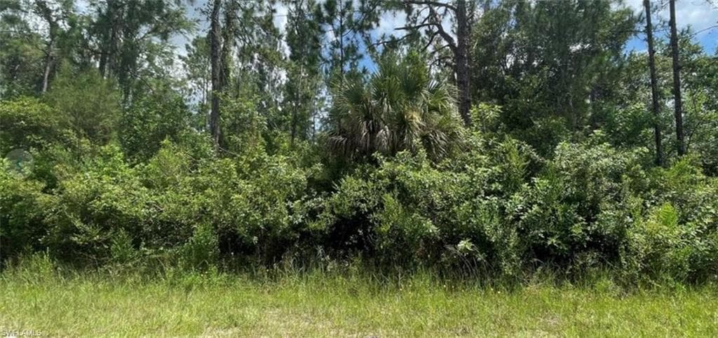 191 Ocean Park DR LEHIGH ACRES, FL 33972