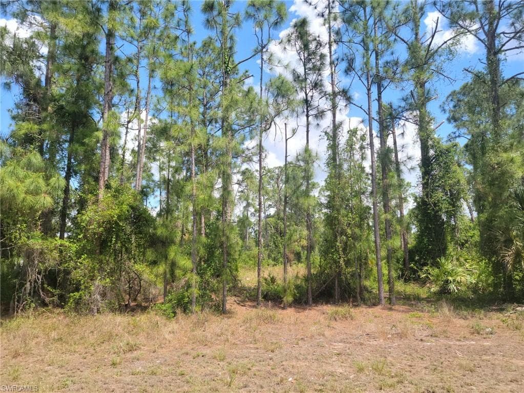 892 Avondale ST E LEHIGH ACRES, FL 33974