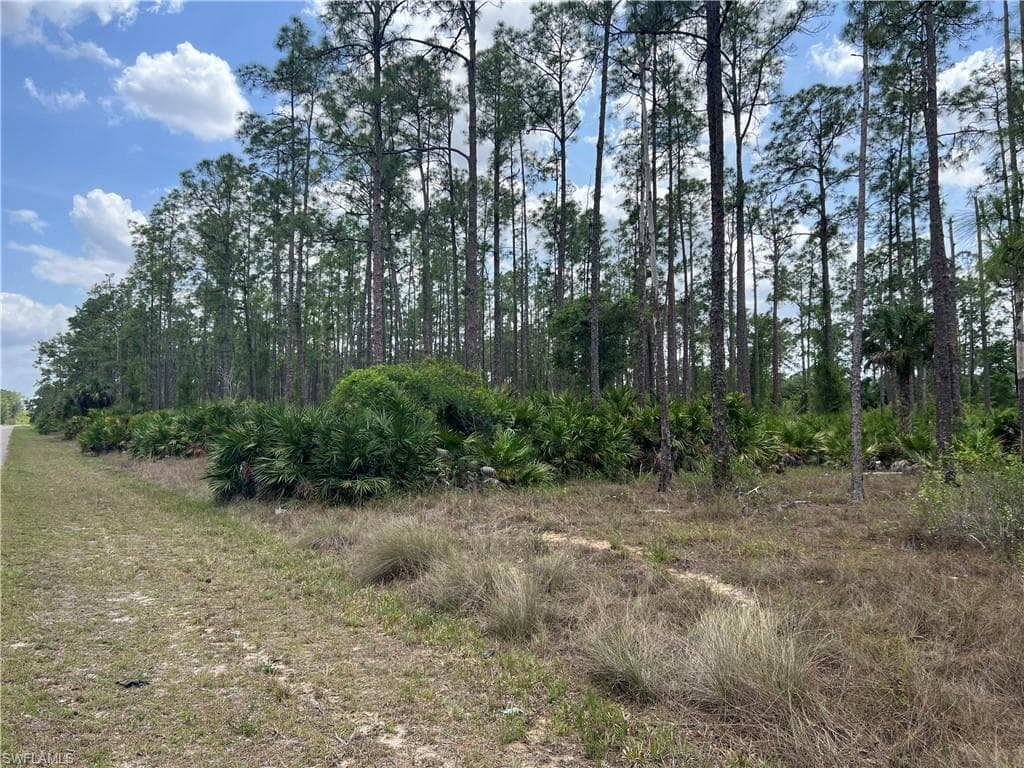 2121 Columbus AVE ALVA, FL 33920
