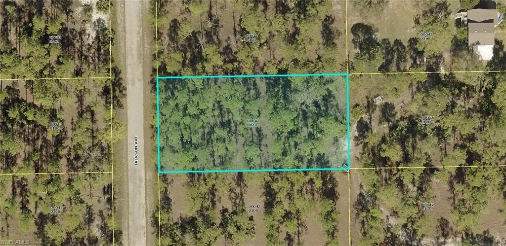 2310 Jackson AVE ALVA, FL 33920