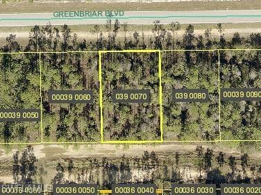 213/215 Greenbriar BLVD LEHIGH ACRES, FL 33972