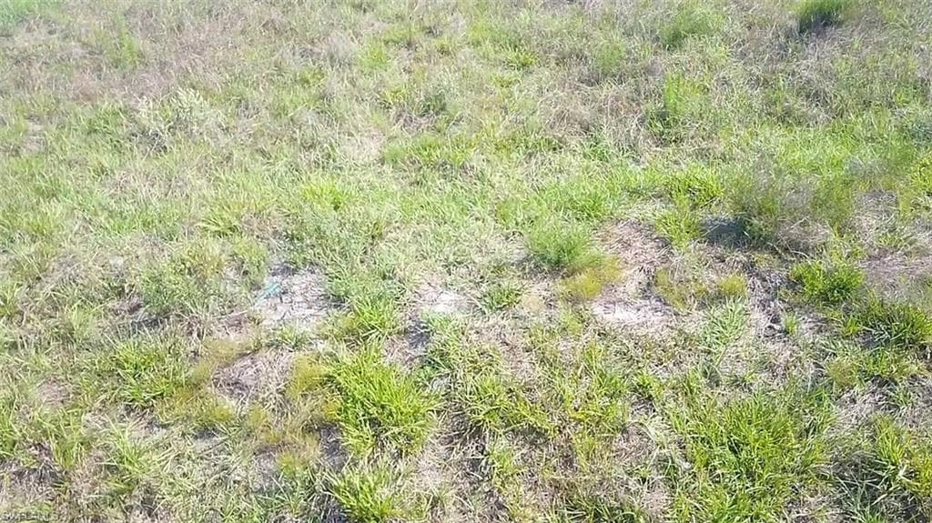 5121 Beecher ST LEHIGH ACRES, FL 33971